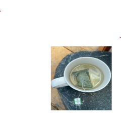 山林野生刺蔥茶包